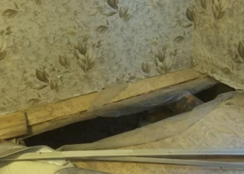 Изображение для новости: Семью с детьми эвакуировали. Что делать костанайцам после потопа нечистотами на дачах?