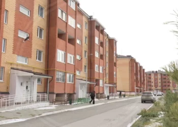 Изображение для новости: Выпуск ТВ-новостей — 13.11.25