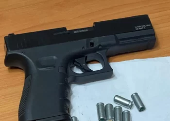 Изображение для новости: Изъяли пистолет, винтовку и патроны изъяла полиция в Костанайской области