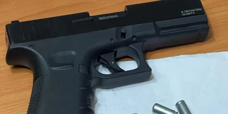 Изображение для новости: Изъяли пистолет, винтовку и патроны изъяла полиция в Костанайской области