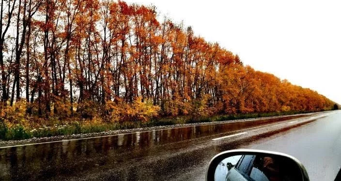 осень,дорога