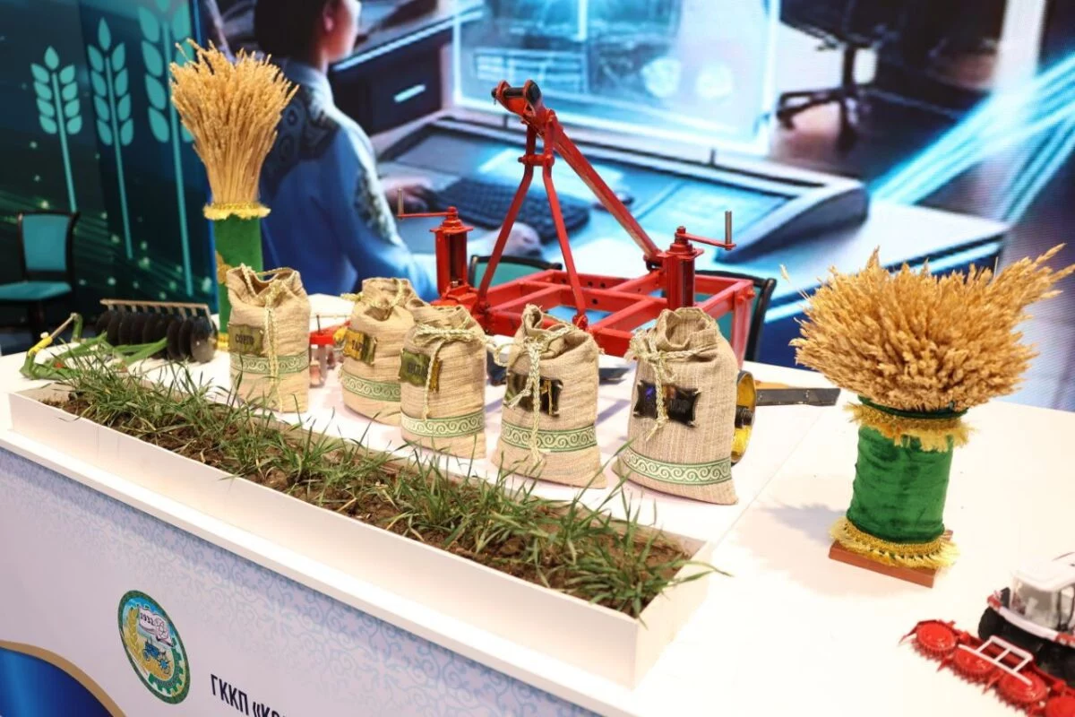 Изображение 9 для Аким Костанайской области выступил на форуме с участием Касым-Жомарта Токаева и Владимира Путина