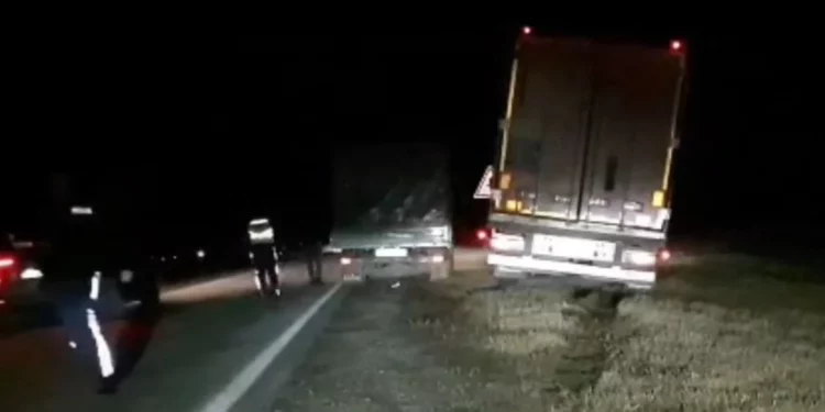 Изображение для новости: Вёз тонны бытовой техники. Пьяного водителя фуры задержали костанайские полицейские