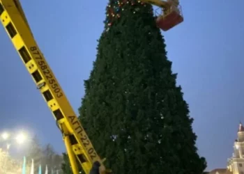 Изображение для новости: Выпуск ТВ-новостей — 01.12.25