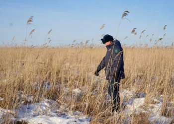 Изображение для новости: Жаңалықтар — 15.12.25