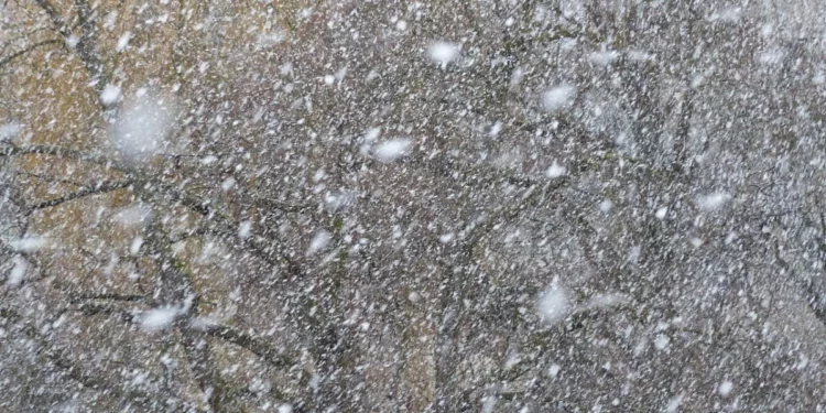 Изображение для новости: Идут метели. Прогноз погоды синоптиков