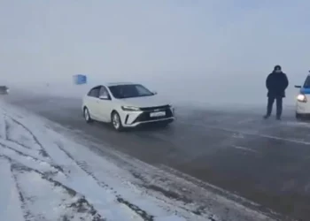 Изображение для новости: Метель стеной: в Костанайской области спасли колонну из 100 автомобилей