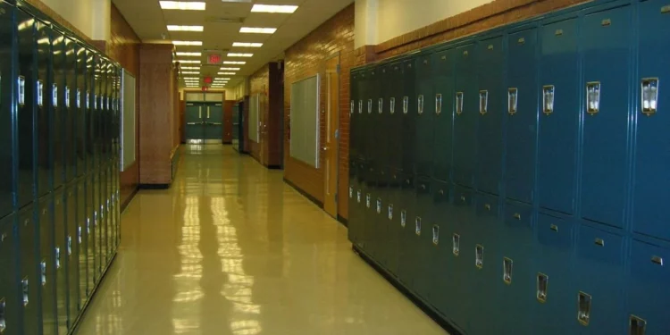 Изображение для новости: Школы РК на испытании: стандарт ещё тестируют, а споры вокруг предметов уже кипят