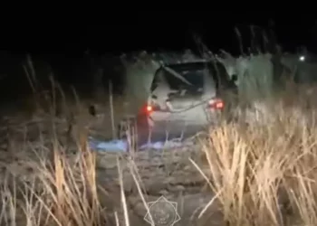 Изображение для новости: Спасатели вытащили фуру из кювета и рыбаков из грязевого плена в Костанайской области