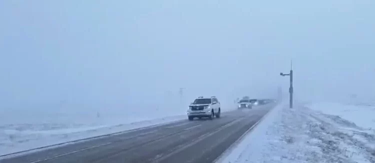 Изображение для новости: Вырвался из колонны на закрытой трассе: водителя внедорожника оштрафовали в Костанайской области