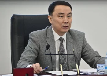 Изображение для новости: Аким Костаная призвал приостановить газификацию дач