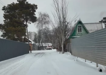 Изображение для новости: Выпуск ТВ-новостей — 25.12.25