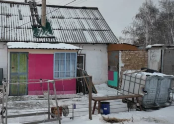 Изображение для новости: Жаңалықтар — 26.12.25