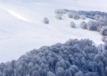 Изображение для новости: Чего ждать от обширного циклона, сообщили синоптики