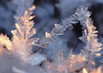 Изображение для новости: Костанай под ледяным куполом: прогноз погоды