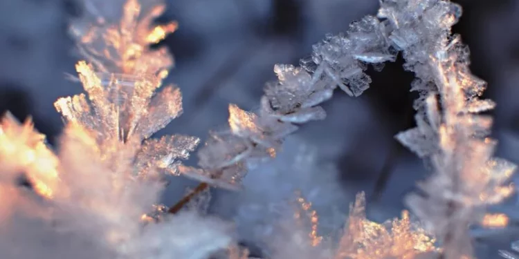 Изображение для новости: Костанай под ледяным куполом: прогноз погоды