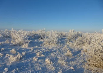 Изображение для новости: Метель стала роковой: в Костанайском районе нашли погибшим пропавшего мужчину