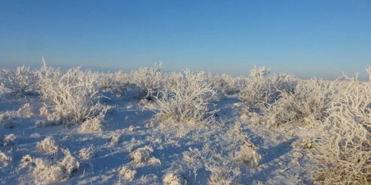 Изображение для новости: Метель стала роковой: в Костанайском районе нашли погибшим пропавшего мужчину