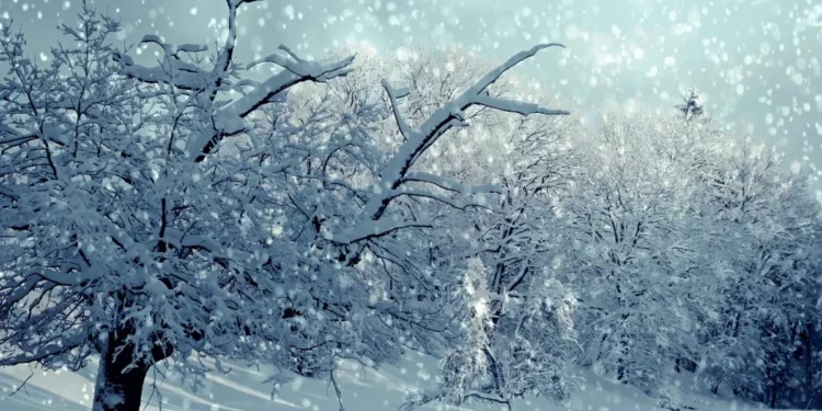 Изображение для новости: Костанайскую область накроет суровый зимний день