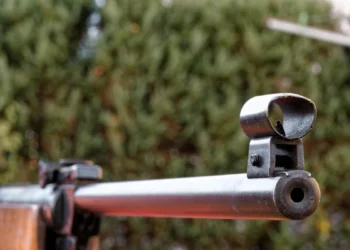 Изображение для новости: Костанаец угрожал оружием женщине с собакой