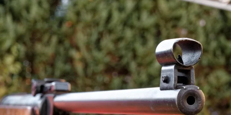 Изображение для новости: Костанаец угрожал оружием женщине с собакой