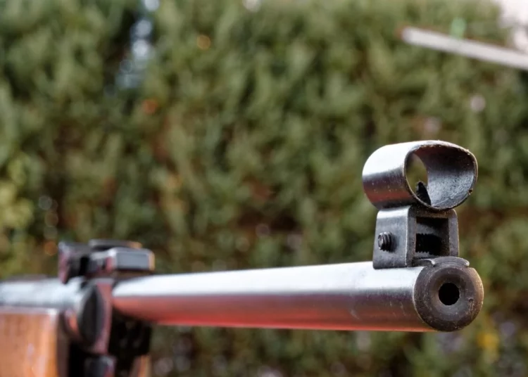 Изображение для новости: В Костанае проходит акция по выкупу оружия: можно сдать без наказания