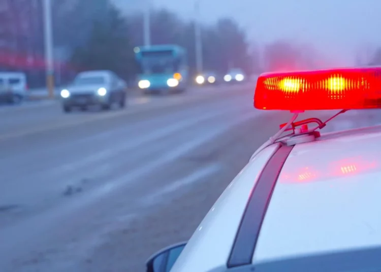 Изображение для новости: Попытка дать взятку инспектору обернулась наказанием и запретом на госслужбу