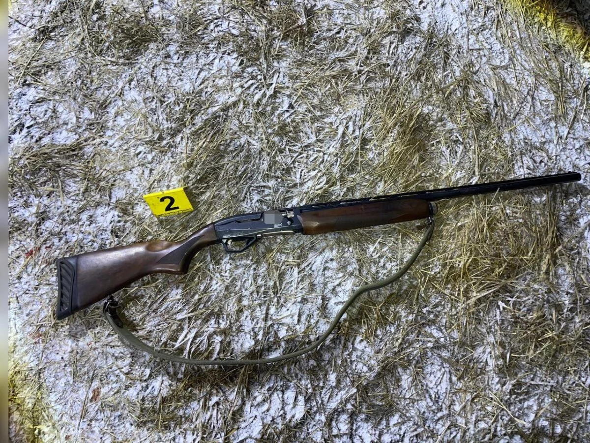 Изображение 1 для Кабан вместо зайца: охота в Костанайской области завершилась уголовным делом