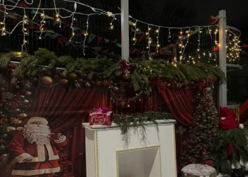 Изображение для новости: В Костанае подвели итоги конкурса на лучшее новогоднее оформление дворов