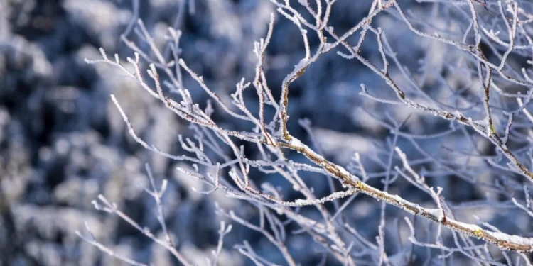 Изображение для новости: Опубликовано предупреждение: Сильные морозы и метели накроют Костанайскую область