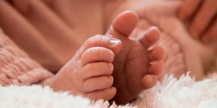 Изображение для новости: Детские смеси с риском отравления: опубликован список партий