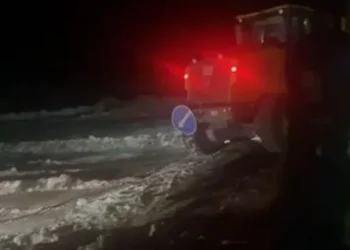 Изображение для новости: На трассе Костанай – Карабутак спасатели эвакуировали фуру с животными