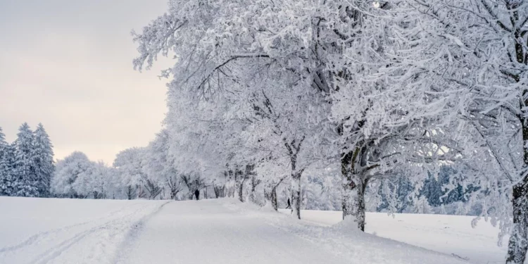 Изображение для новости: Морозы и метели накроют Костанайскую область