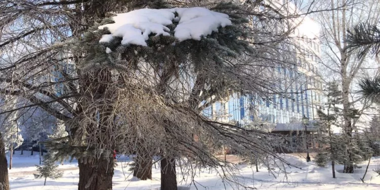 Изображение для новости: Непогода возвращается: метель и морозы в Костанайской области