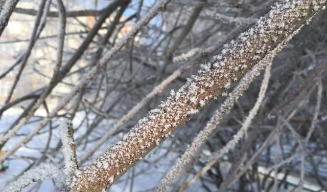 Изображение для новости: Мартовская непогода: дождь со снегом и гололёд в Костанае