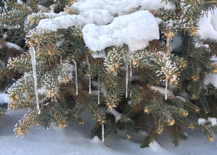 Изображение для новости: Утром не увидишь дальше шага: что готовит погода в Костанае