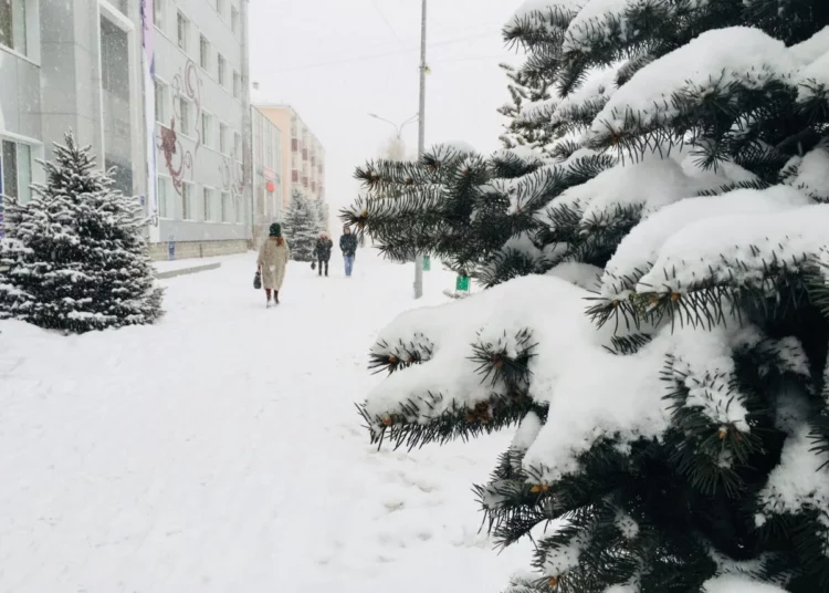 Изображение для новости: Метель и гололед надвигаются на Костанайскую область