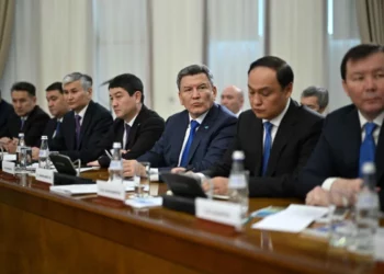 Изображение для новости: Токаев призвал действовать без промедления и принимать смелые решения