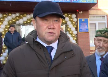 Изображение для новости: Семье с тройней в Костанайской области помогут улучшить жильё