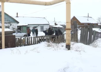 Изображение для новости: «Снежный десант» в Костанае: более 200 студентов вышли на помощь пенсионерам