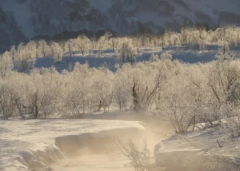Изображение для новости: Наурыз с сюрпризом: какая погода ждёт казахстанцев в праздники