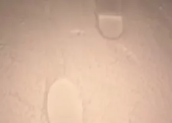 Изображение для новости: Мужчина заблудился из-за густого тумана в Костанайской области