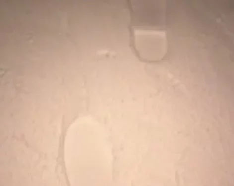 Изображение для новости: Мужчина заблудился из-за густого тумана в Костанайской области