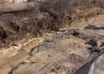 Изображение для новости: «Такого никогда не было»: жители дач в Костанае о паводке