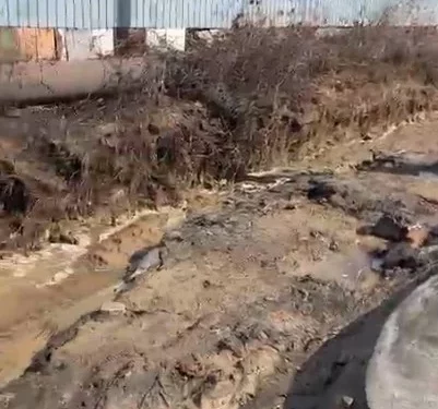 Изображение для новости: «Такого никогда не было»: жители дач в Костанае о паводке