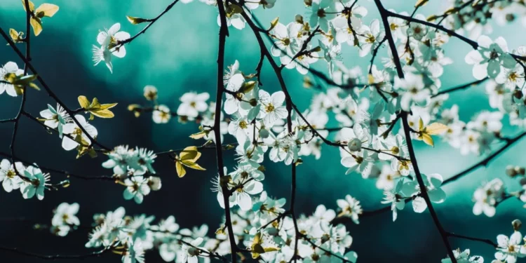 Изображение для новости: Тепло до +32: синоптики рассказали, где в Казахстане испортится погода