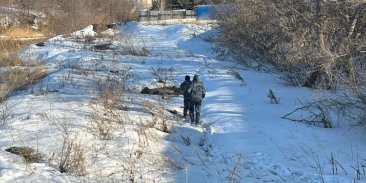 Изображение для новости: Пропал подросток: в Костанае идут круглосуточные поиски