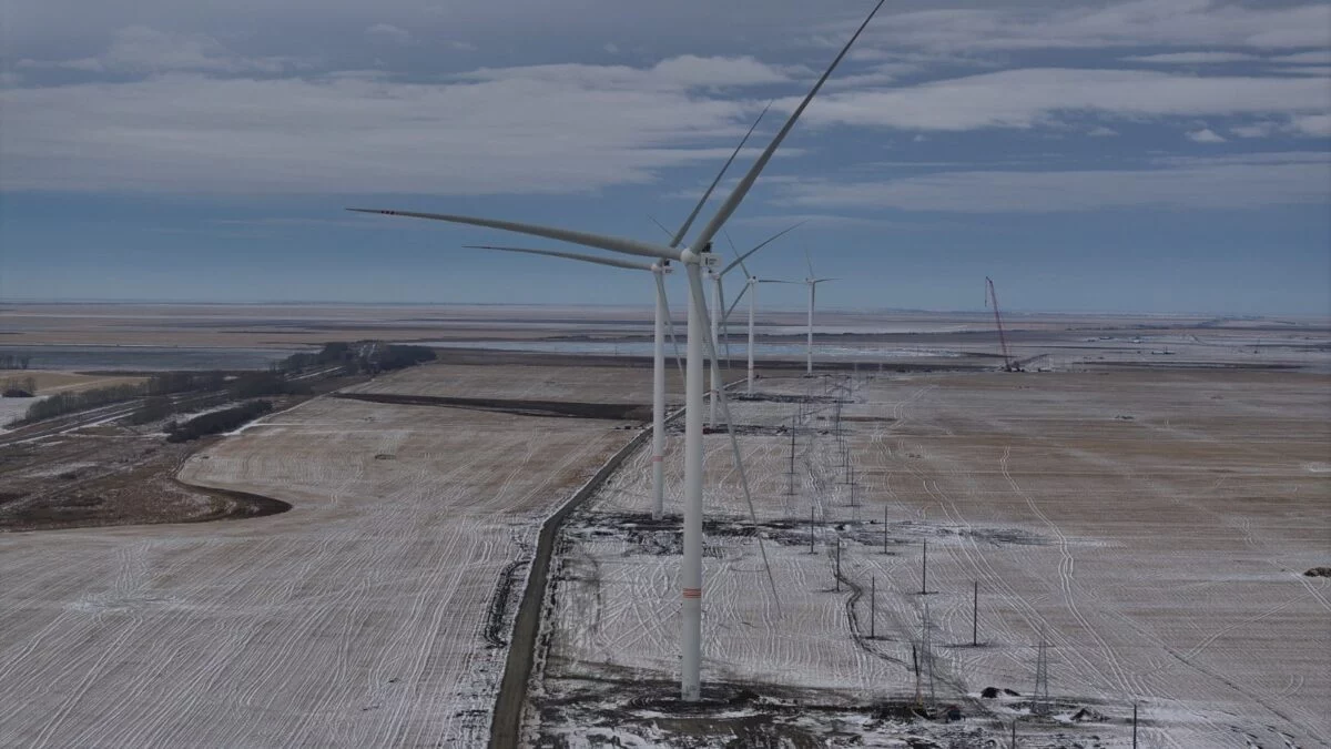 Изображение 5 для Учись сам: в Костанае открылась первая peer-to-peer IT-школа