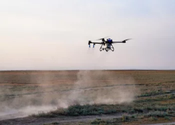 Изображение для новости: Саранча не пройдёт: Казахстан усиливает борьбу с вредителями агродронами