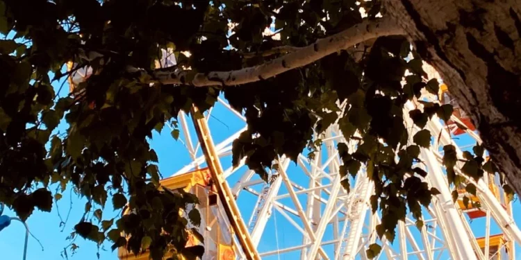 Изображение для новости: Аттракционы в Костанае прошли проверку и открыты для посетителей